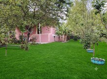 Həyət evi kirayə verilir, Şəki ş.