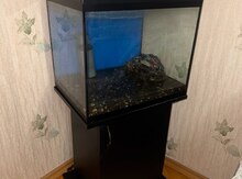 Akvarium