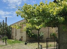 Həyət evi, Ağcabədi r.