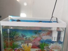 Akvarium