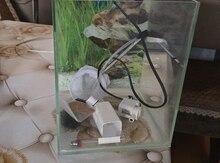 Akvarium