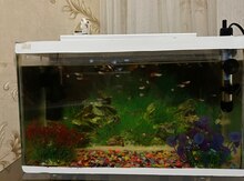 Akvarium
