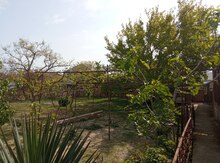 6 sot torpaq sahəsi, Masazır qəs.