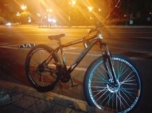 Velosiped 29