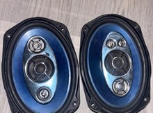 Pioneer