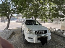 Toyota Prado, 2008 il