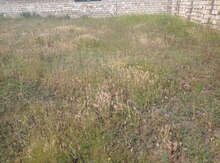 3 sot torpaq sahəsi, Binə qəs.