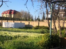 5 sot torpaq sahəsi, Saray qəs.