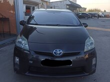 Toyota Prius, 2010 il