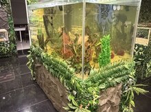 Akvarium