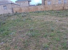 4 sot torpaq sahəsi, Saray qəs.