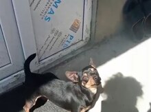 Çixuaxua