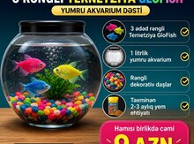 Akvarium və balıqlar