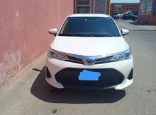 Toyota Corolla, 2020 il