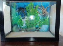 Akvarium