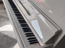 Piano Belarus