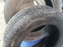 Şinlər R17