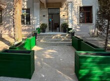 Taxta dibçək
