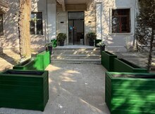 Taxta dibçək