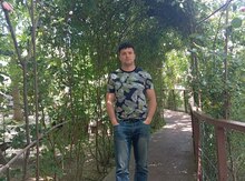 Mühafizəçi işi axtarıram