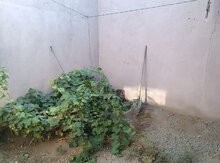 Həyət evi kirayə verilir, Sumqayıt ş.