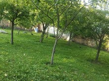 3 sot torpaq sahəsi, Qəbələ r.