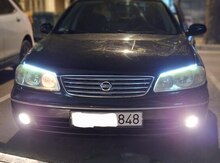 Nissan Sunny, 2008 il