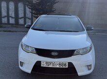 KIA Cerato, 2009 il