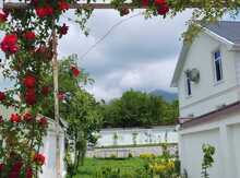 Villa kirayə verilir, Qəbələ ş.