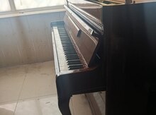 Pianino