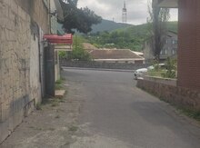 Ofis icarəyə verilir, Şəki ş