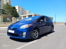 Toyota Prius, 2010 il