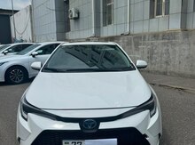 Toyota Corolla, 2024 il