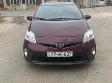 Toyota Prius, 2013 il