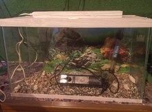 Akvarium