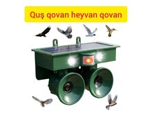 Quş qovan