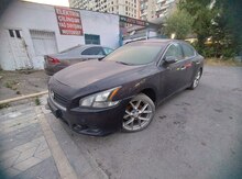 Nissan Maxima, 2011 il