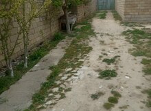 1.2 sot torpaq sahəsi, Mehdiabad qəs.