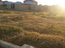 3 sot torpaq sahəsi, Müşfiqabad qəs.