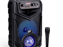 Karaoke Bluetooth Dinamik 