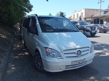 Mercedes Viano, 2000 il