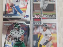 Panini baseball kartları