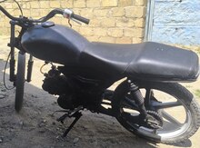Nama 50, 2022 il