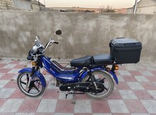 Motosiklet Freedom Neo 45, 2024 il