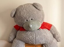 Teddy