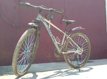Velosiped 29
