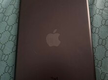 Apple iPad