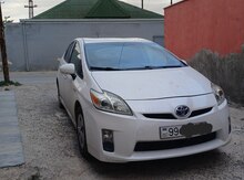 Toyota Prius, 2010 il