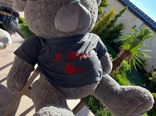 Oyuncaq ayı Teddy