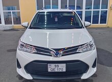 Toyota Corolla, 2019 il